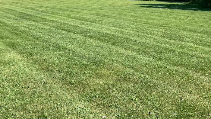 Infinity Lawn Care LLC Picture 6