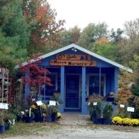 Myers Landscape Nursery ico