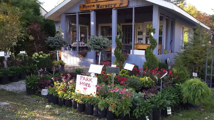 Myers Landscape Nursery Picture 7