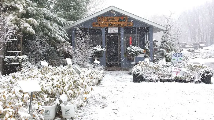 Myers Landscape Nursery Picture 3