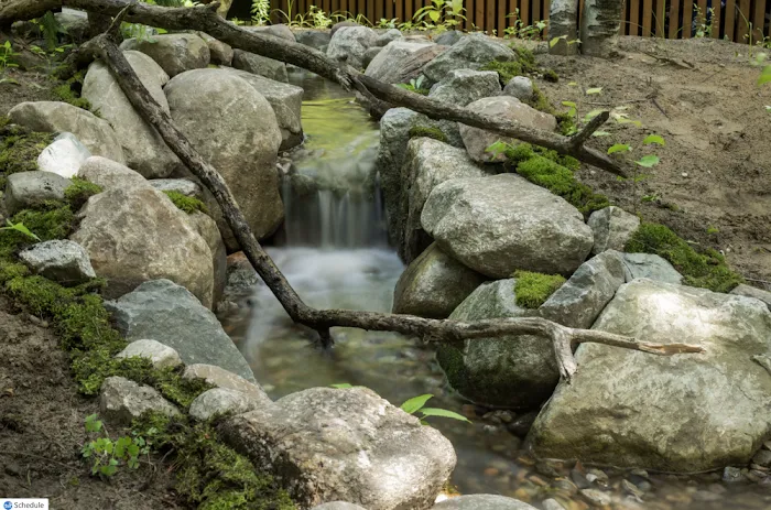 Aquascapes of Michiana Picture 5