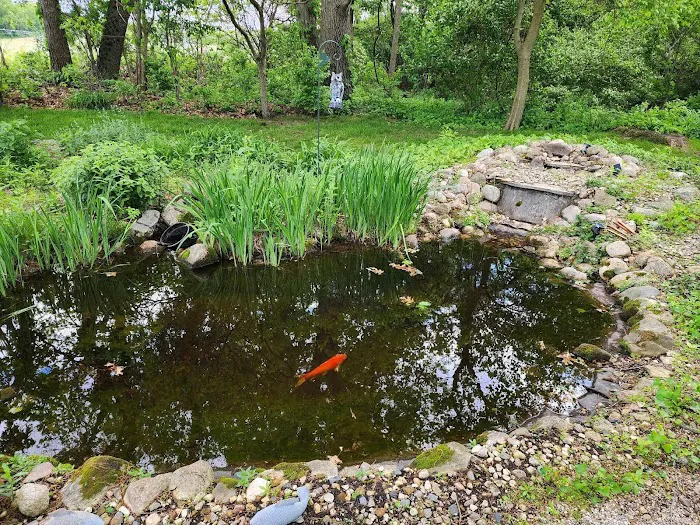 Aquascapes of Michiana Picture 8