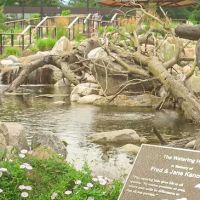 Aquascapes of Michiana ico
