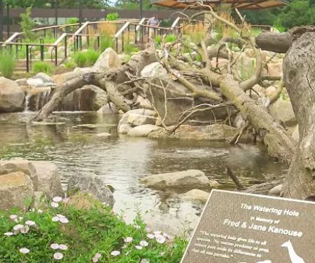 Aquascapes of Michiana