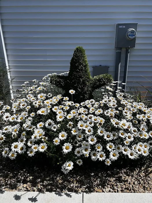 Affordable Lawn-Landscaping Inc. Picture 9
