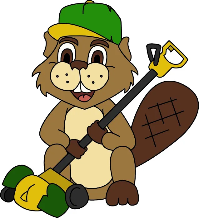 The Beaver's Edge Picture 7
