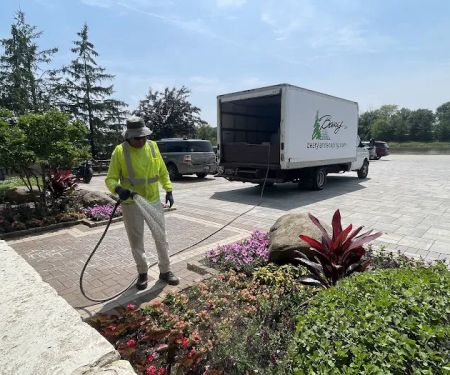 Beary Landscaping