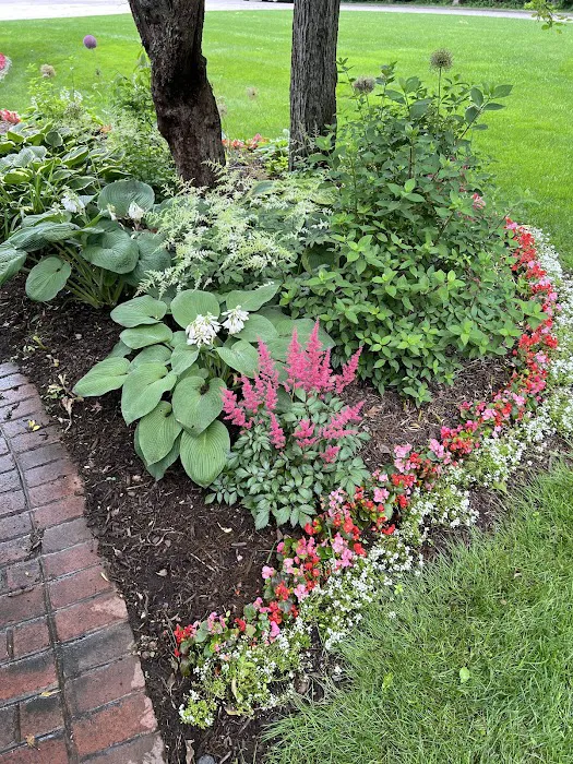 Mowtown Lawn & Landscape Picture 5