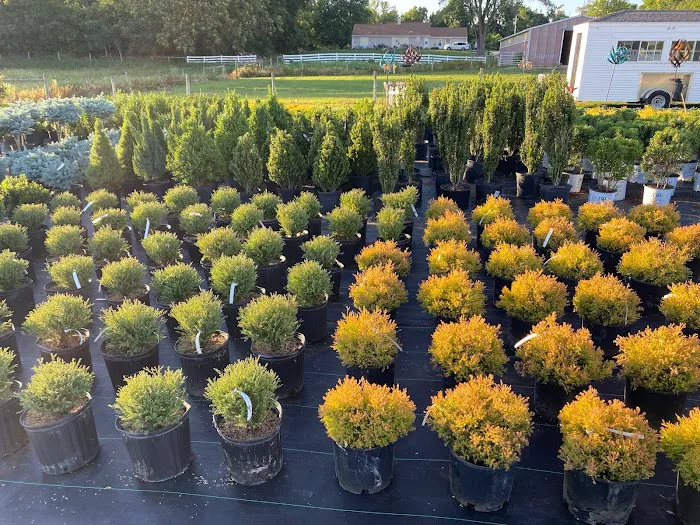 Iniesta Nursery & landscape Picture 8