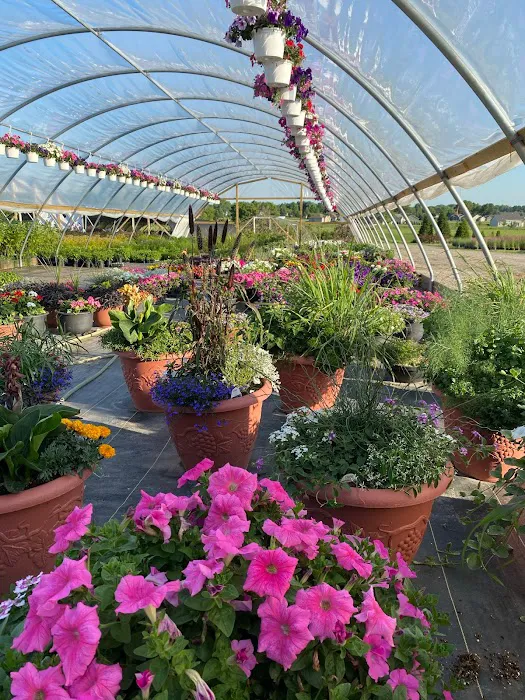 Iniesta Nursery & landscape Picture 1