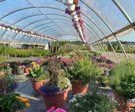 Iniesta Nursery & landscape
