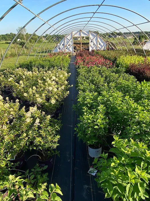 Iniesta Nursery & landscape Picture 2
