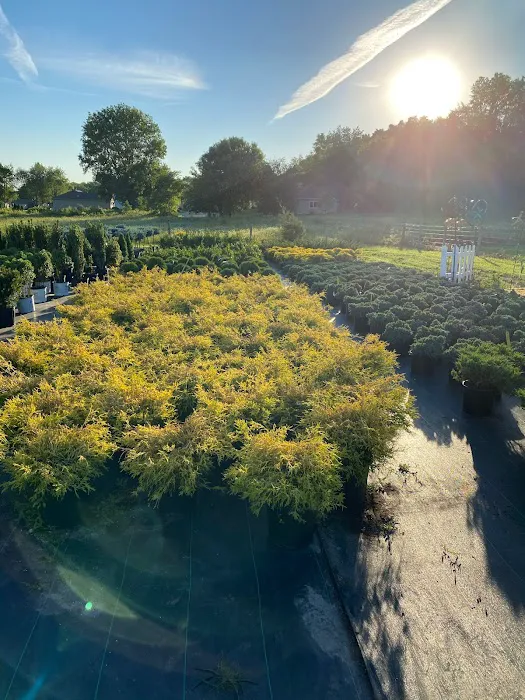 Iniesta Nursery & landscape Picture 4