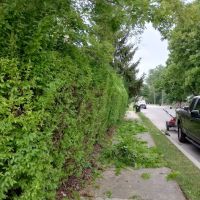 MM Outdoor Service,LLC ico