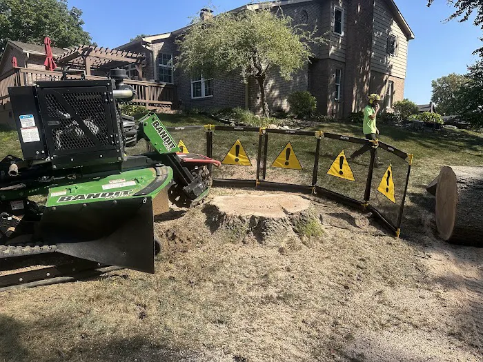 Heartland Tree Service Picture 7