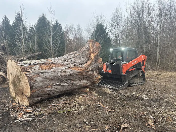 Heartland Tree Service Picture 1