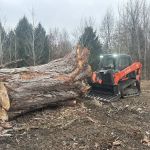 Heartland Tree Service