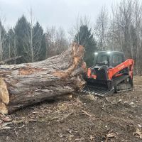 Heartland Tree Service ico
