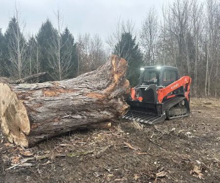 Heartland Tree Service