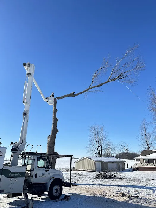 Heartland Tree Service Picture 9