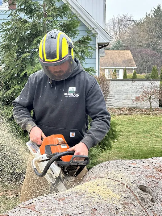 Heartland Tree Service Picture 10