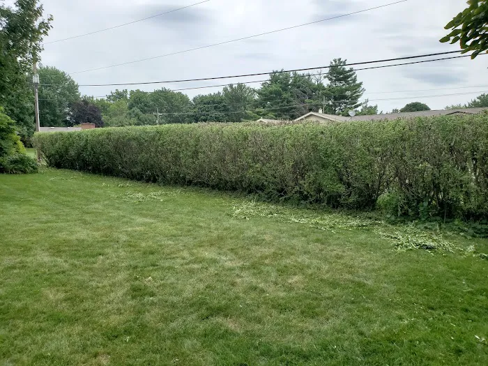 Grass Roots Lawn Care LLC Picture 9