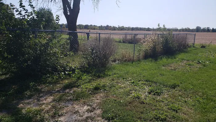Grass Roots Lawn Care LLC Picture 5