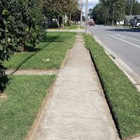 Grass Roots Lawn Care LLC ico