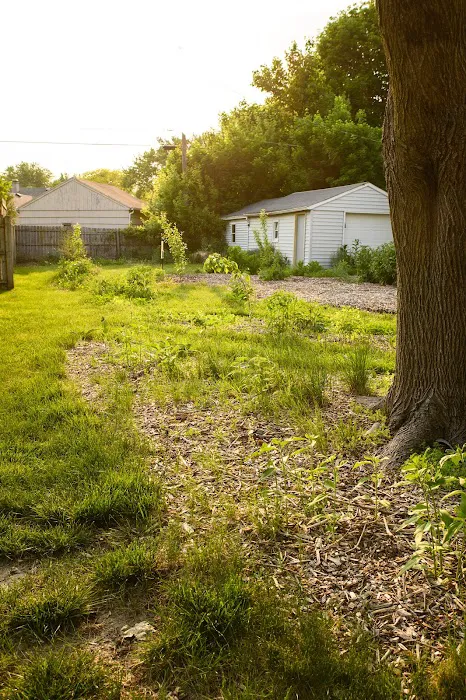 Grow With Gordon Picture 9