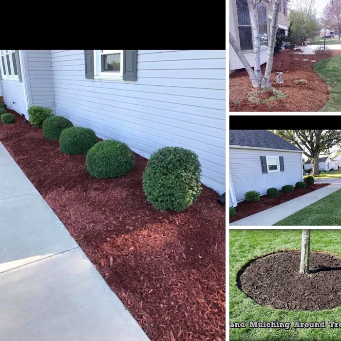 M & J Landscaping Perez LLC Picture 2