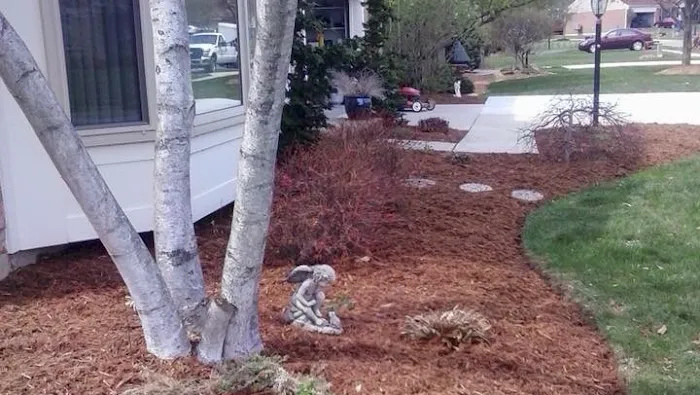 M & J Landscaping Perez LLC Picture 1