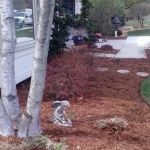 M & J Landscaping Perez LLC