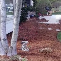 M & J Landscaping Perez LLC ico