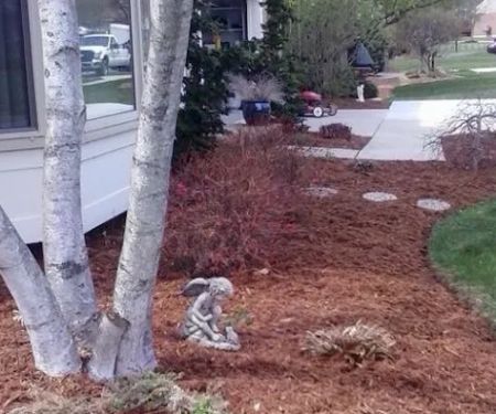 M & J Landscaping Perez LLC