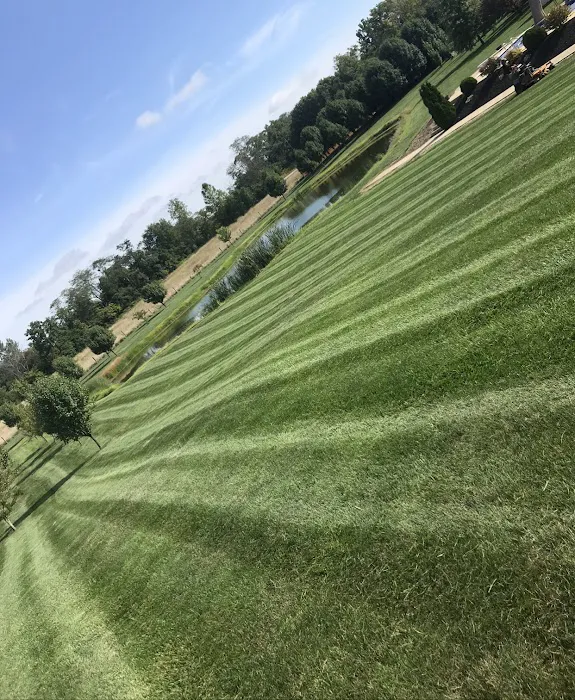 M & J Landscaping Perez LLC Picture 3
