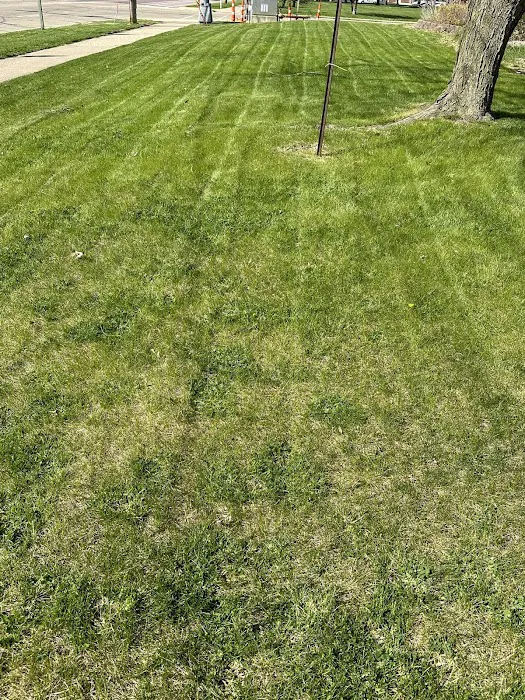 Stuart Lind Lawn Care, LLC Picture 9