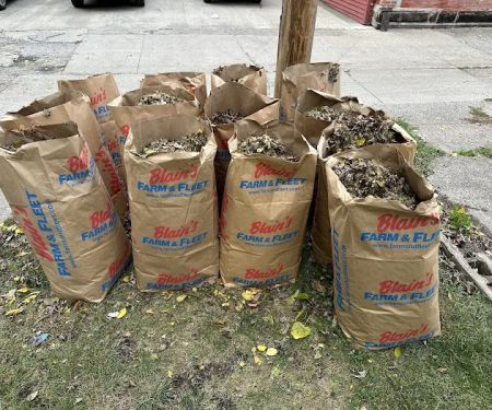 Stuart Lind Lawn Care, LLC