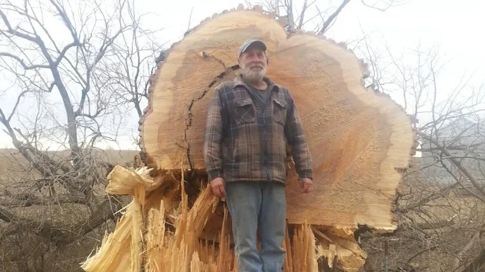 Dan's Tree Service, LLC Picture 2