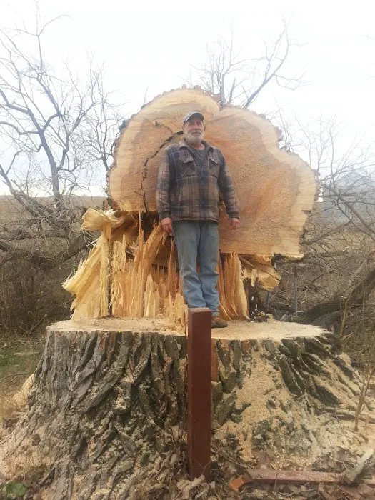 Dan's Tree Service, LLC Picture 1