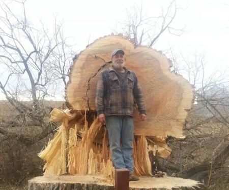 Dan's Tree Service, LLC