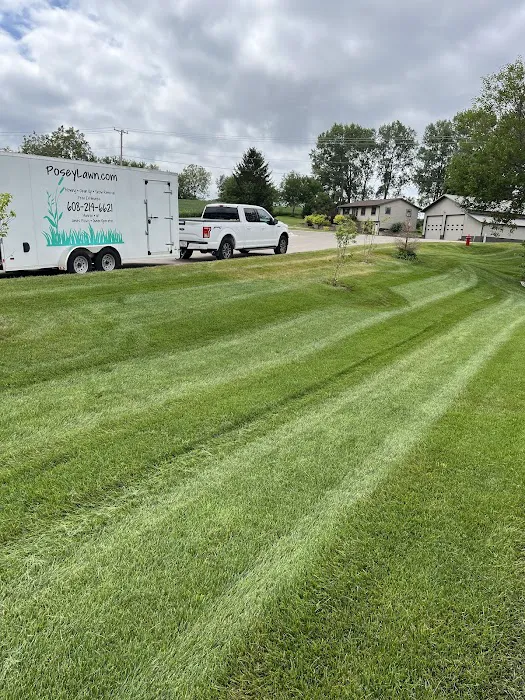 PoseyLawn Picture 4
