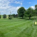 PoseyLawn