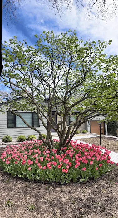 Schmidt Landscape Services, Inc. Picture 3