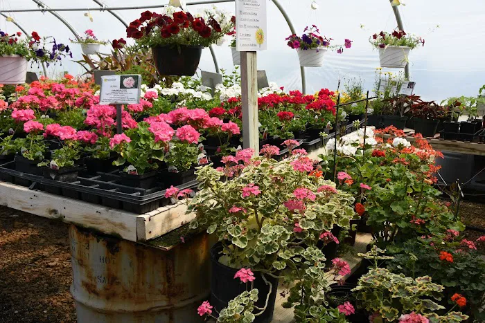 Pleasant Prairie Greenhouse / Urban Landscaping Picture 2