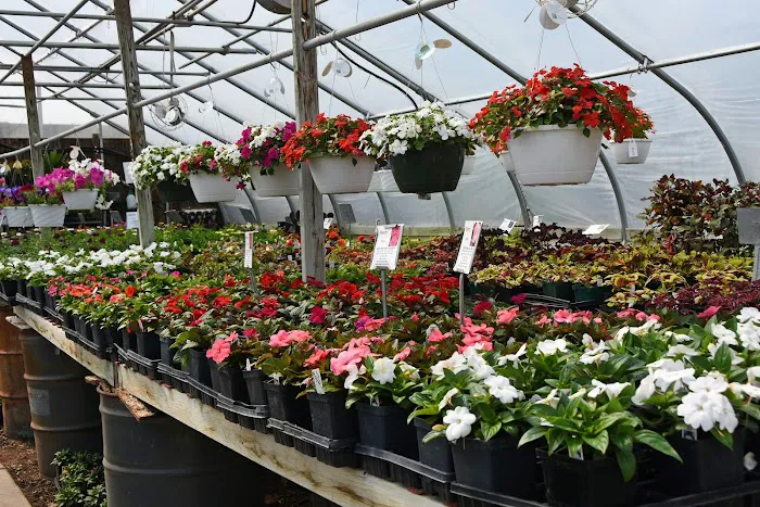 Pleasant Prairie Greenhouse / Urban Landscaping Picture 4