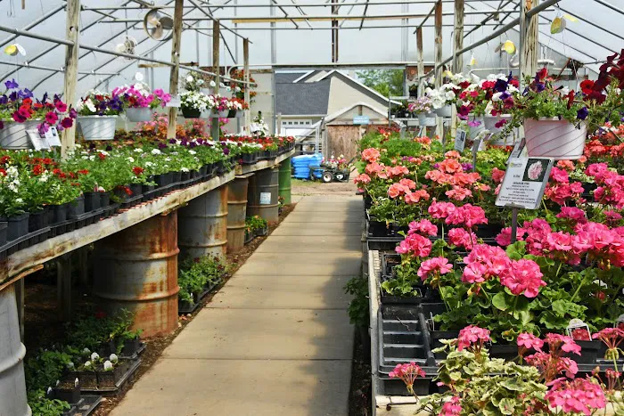 Pleasant Prairie Greenhouse / Urban Landscaping Picture 6