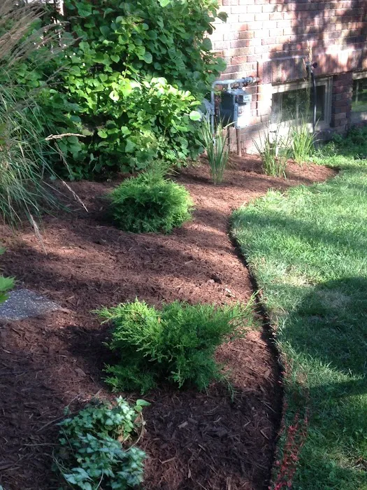 Kammerud Landscaping Picture 2