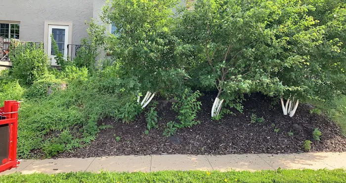 Pinnacle Outdoor Services LLC Picture 4
