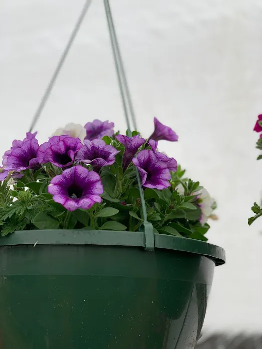 Timanda Landscaping & Garden Center Picture 7