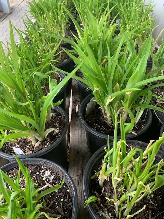 Timanda Landscaping & Garden Center Picture 4